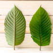 What Are the Different Types of Kratom Strains That Are Grown Today?