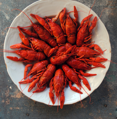 cajun experience crawfish
